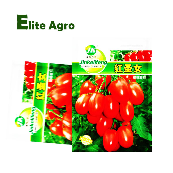 টমেটো, Tomato